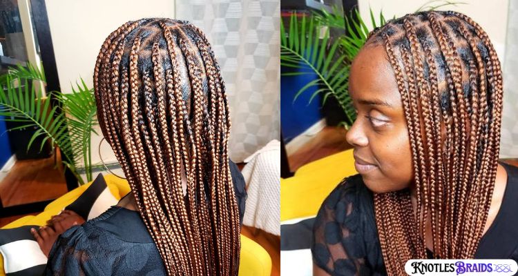 Knotless Braids with Copper Highlights