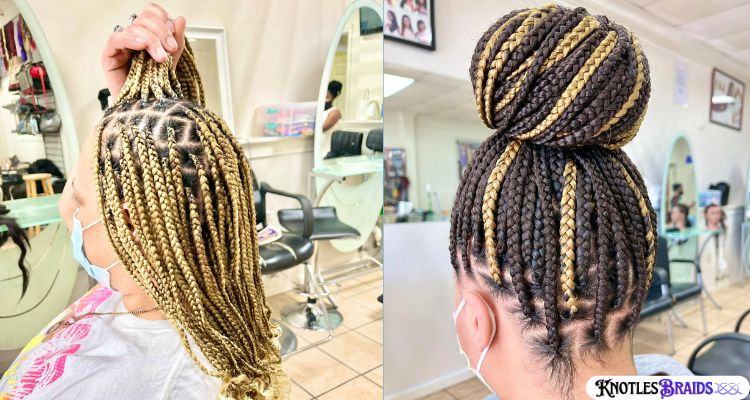 Knotless Braids with Highlights