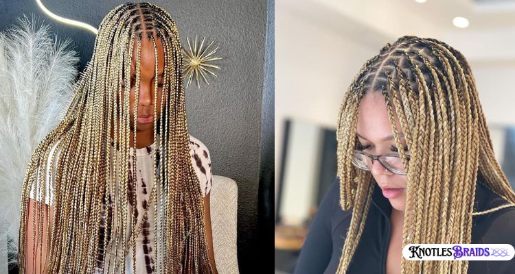 Brown and Blonde Ombre Knotless Braids