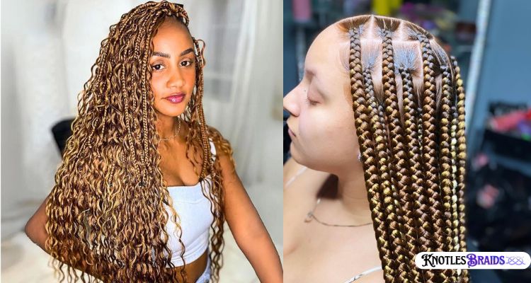 Classic Brown Knotless Braids