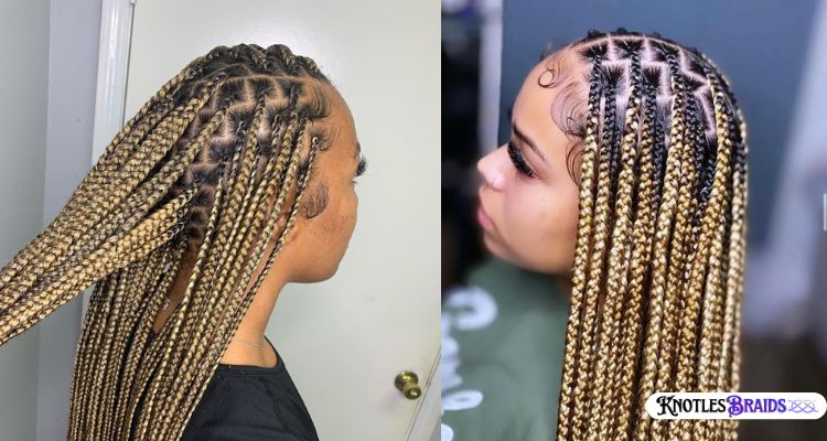 Golden Brown Knotless Braids