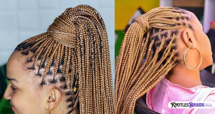 Sleek Brown Knotless Braids